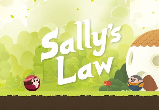 Sallys Law
