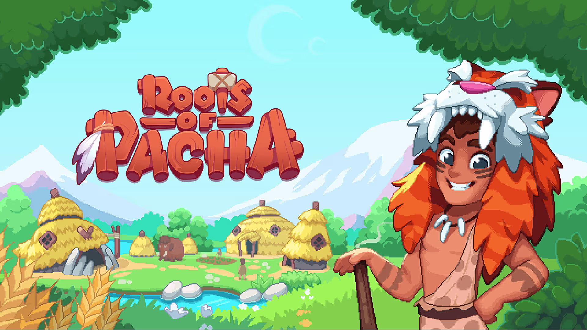 Roots of Pacha