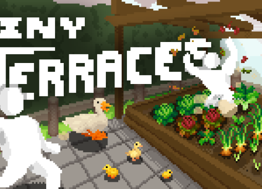 Tiny Terraces